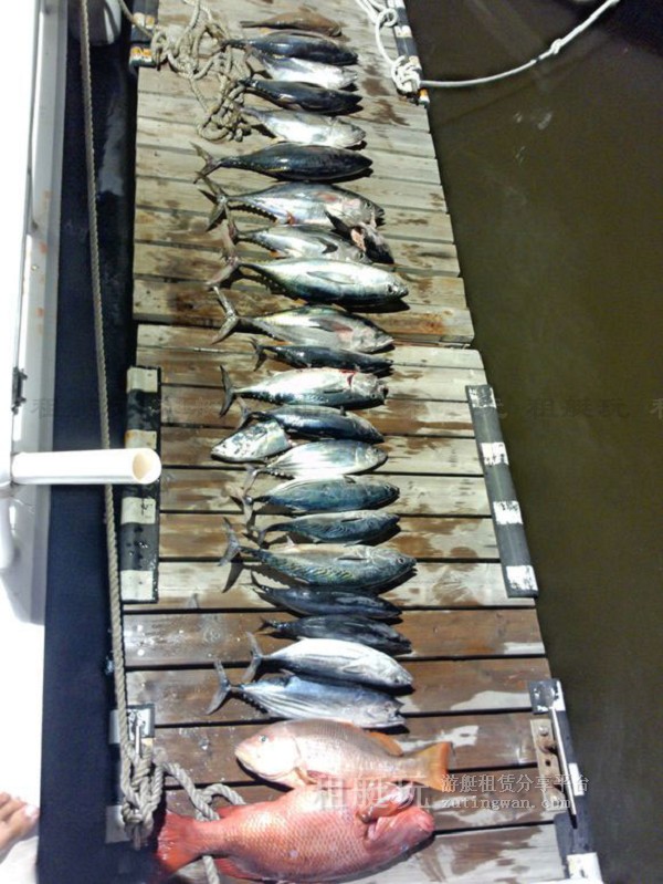 三亞海釣?zāi)康牡赝扑]，租艘釣魚艇去海釣吧！