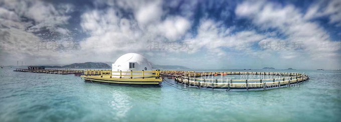文章浯嶼島魚排2.jpg