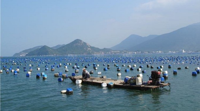 PhotoCap_001.jpg